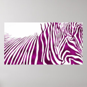 ZEBRA POSTER