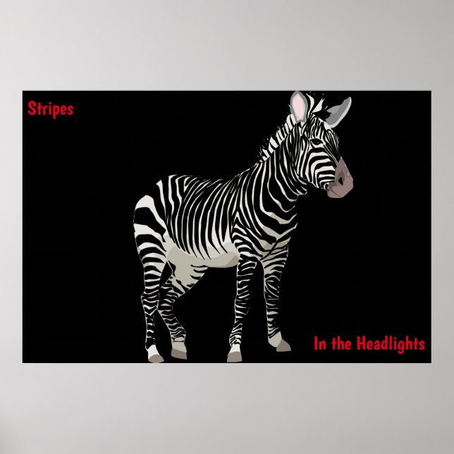 Zebra Poster (Front)