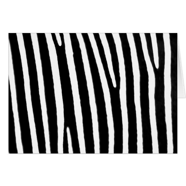 Zebra poster de animal (Devant horizontal)