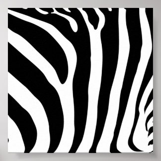 Zebra Print Poster