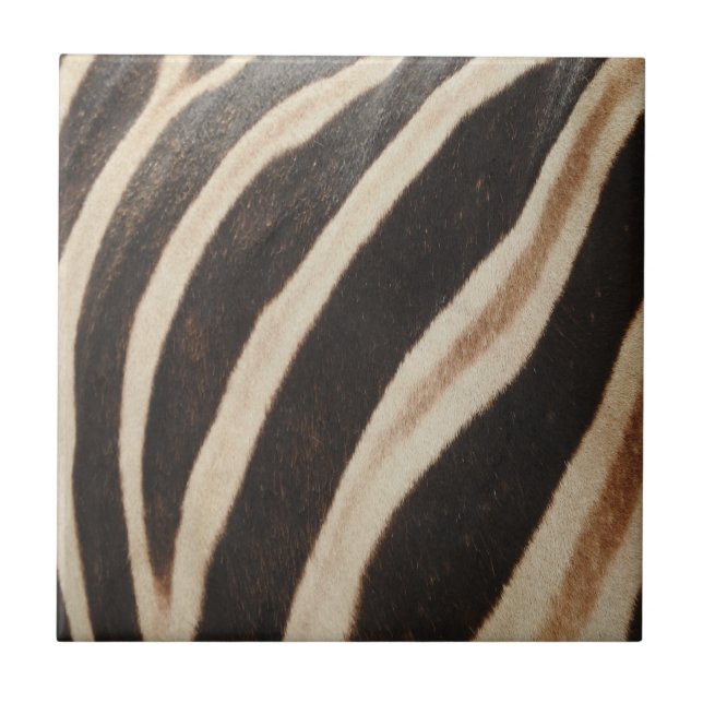 Zebra Print Tile (Front)