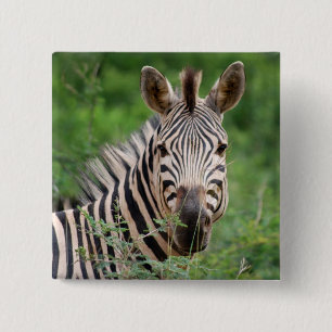 Zebra profile 2 inch square button