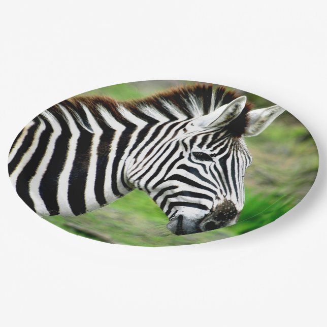 Zebra Profile Paper Plate (Angled)