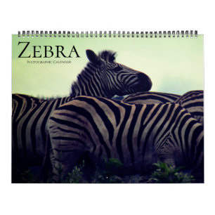 zebra safari 2027 large calendar