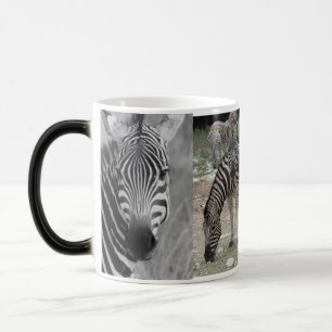 Zebra Safari Cute African Classy Stripes Magic Mug