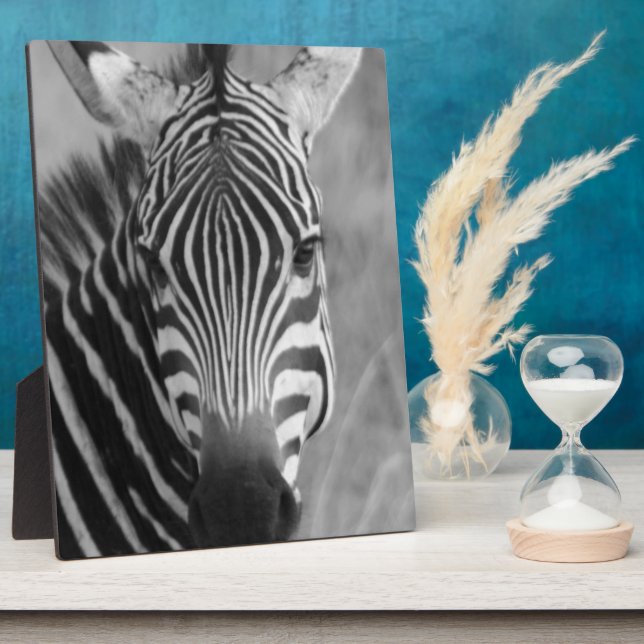 Zebra Safari Cute African Classy Stripes Plaque (Side)