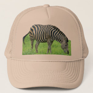 Zebra Safari Hat