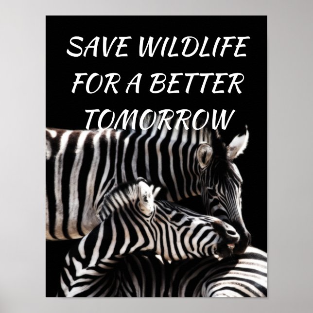 Zebra, Save Wildlife for a Better Tomorrow Nature Poster (Front)