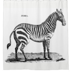 Zebra Shower Curtain