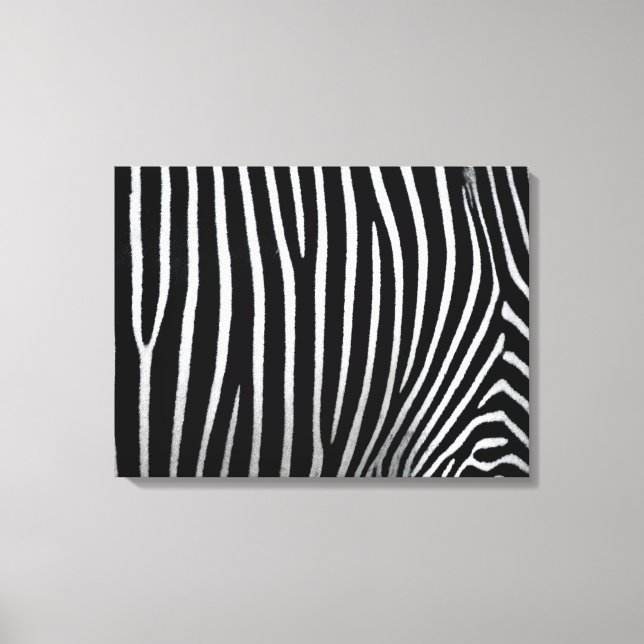 Zebra Skin Canvas Print (Front)