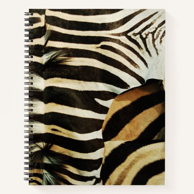Zebra Skin Notebook (Front)