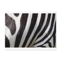 Zebra Skin Print