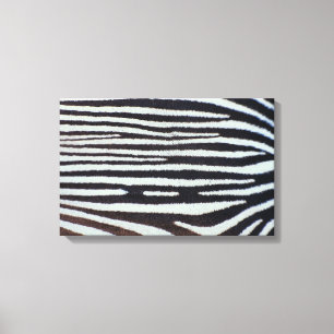 Zebra skin surface canvas print