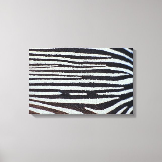 Zebra skin surface canvas print (Front)