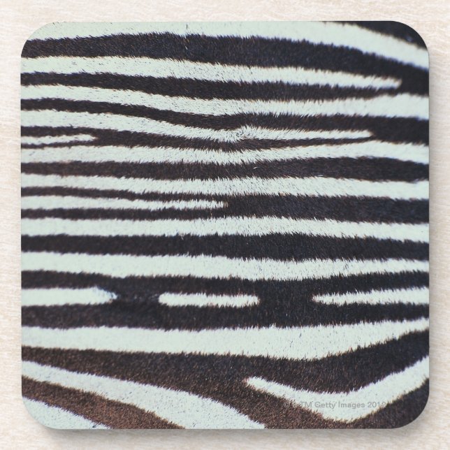 Zebra skin surface coaster (Front)