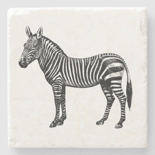 Zebra Stone Coaster (Front)