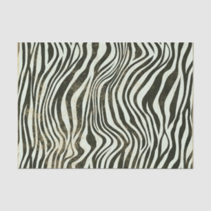 Zebra Stripe Tissue Paper