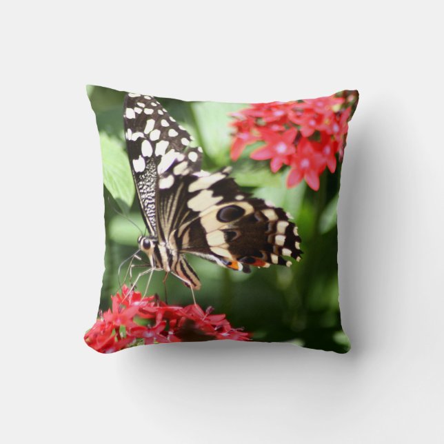 Zebra Striped Butterfly Throw Pillow (Front)