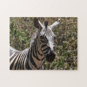 zebra striped jigsaw puzzle