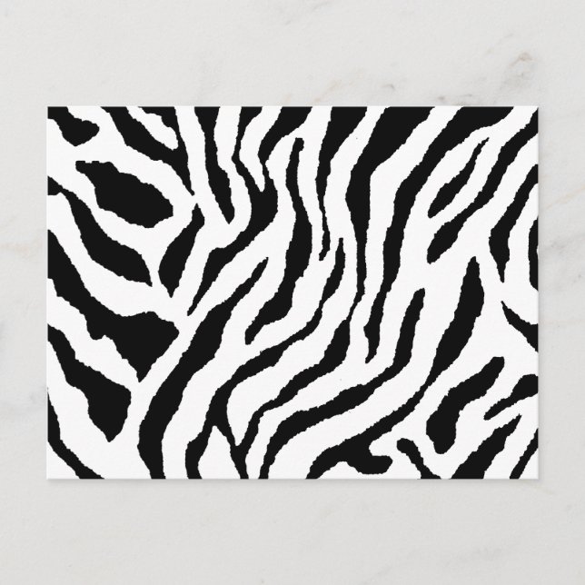 Zebra Striped Postcard (Front)