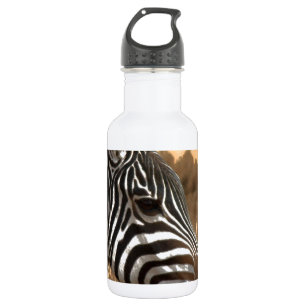 Zebra Stripes 532 Ml Water Bottle