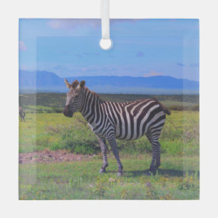 ZEBRA STRIPES  GLASS ORNAMENT