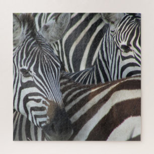 zebra stripes jigsaw puzzle