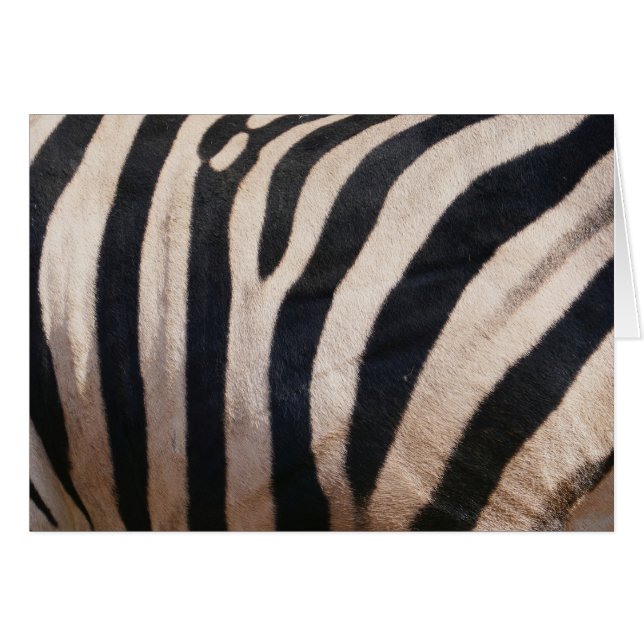 Zebra Stripes noir et blanc (Devant horizontal)