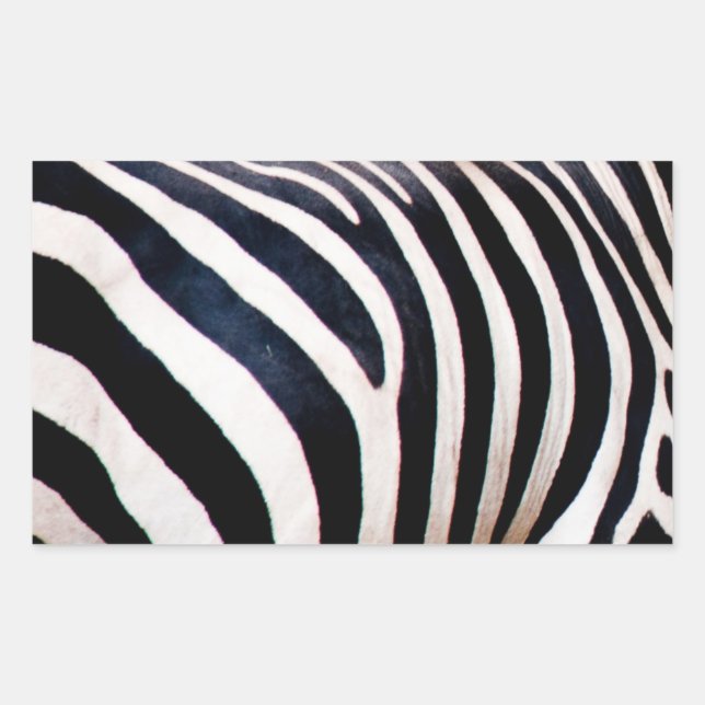 Zebra stripes sticker (Front)