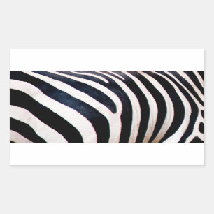 Zebra stripes sticker