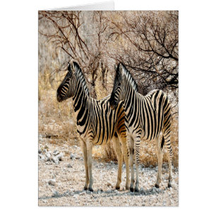 Zebra Stroll