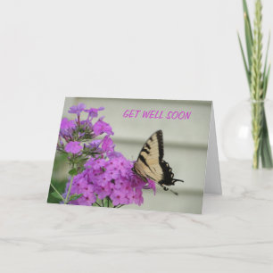 Zebra Swallowtail, Get Well Card
