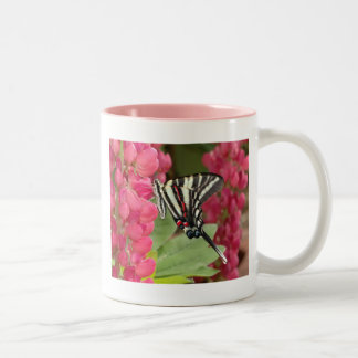 Zebra swallowtail Two-Tone coffee mug