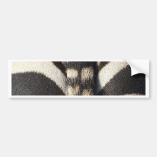 Zebra Tail Bumper Sticker