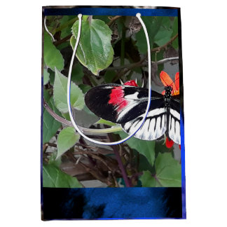 Zebra tail butterfly medium gift bag