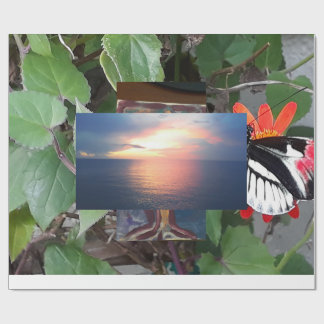 Zebra tail butterfly wrapping paper