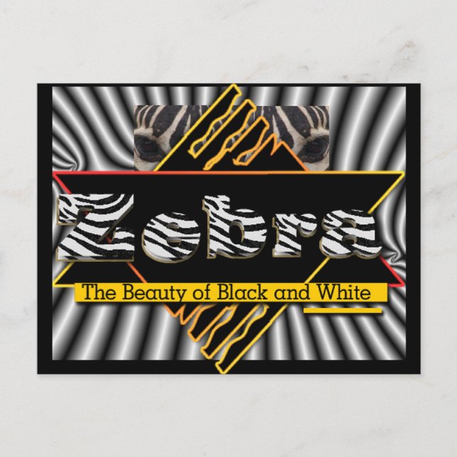 ZEBRA ~ THE BEAUTY OF BLACK AND WHITE POSTCARD (Front)
