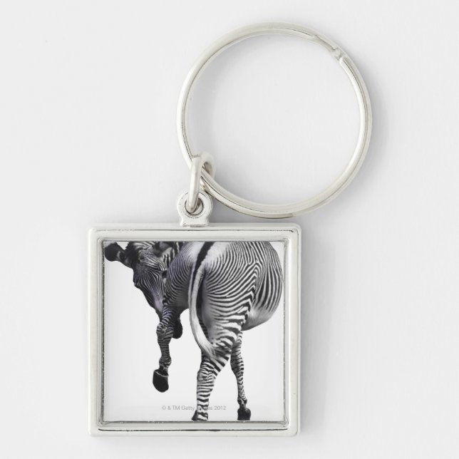 Zebra turning around keychain (Front)