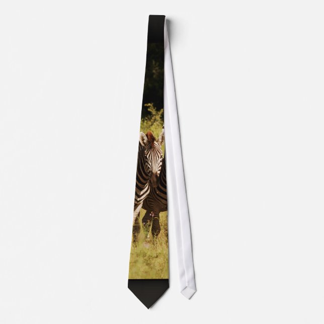 Zebra - unique safari designer range tie (Front)