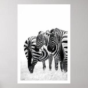 Zebra Wall Art Print Subtle Movement, Black and