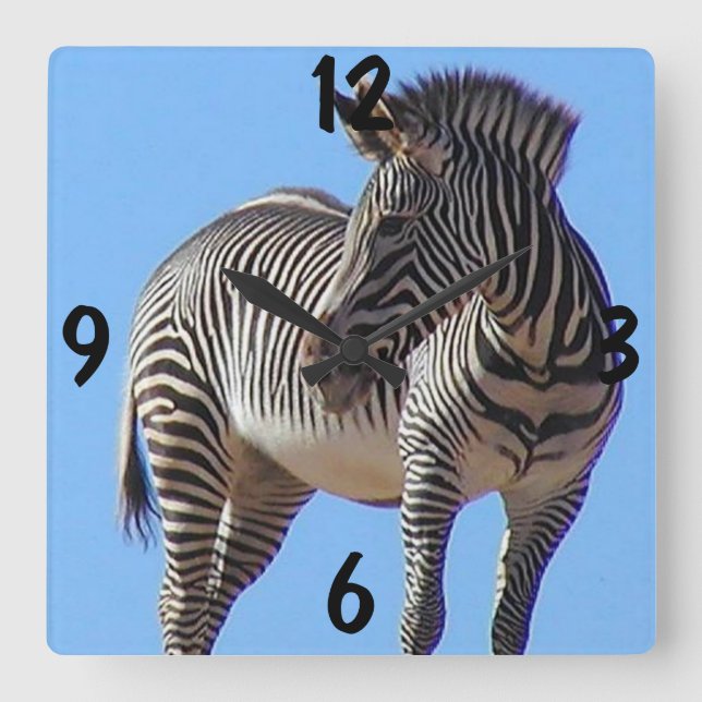 Zebra Wall Clock (Front)