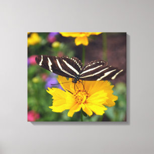 Zebra Wings Canvas Print