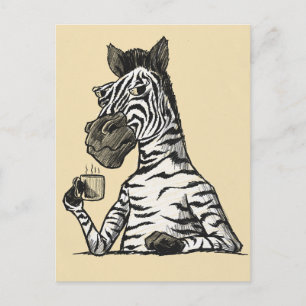Zebra With Coffee Postcard