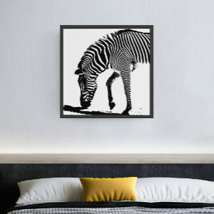 Zebra with Shadow unframed Poster