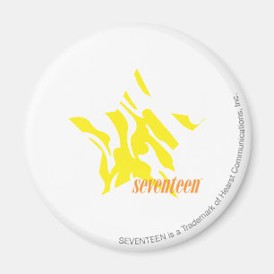 Zebra Yellow 3 Magnet