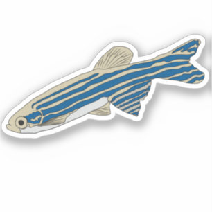 Zebrafish sticker
