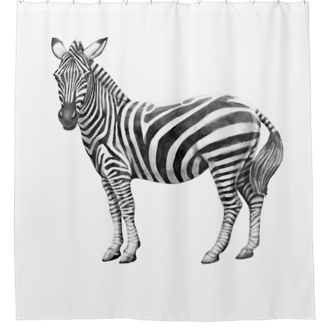 Zebras (Front)