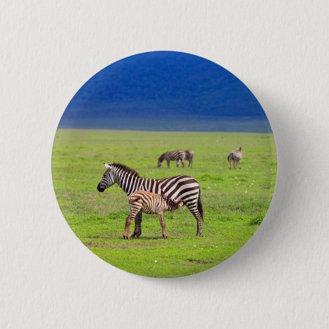 Zebras 2 Inch Round Button (Front)