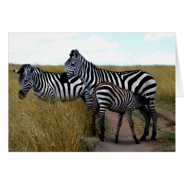 ZEBRAS AND BABY ZEBRA (Front Horizontal)