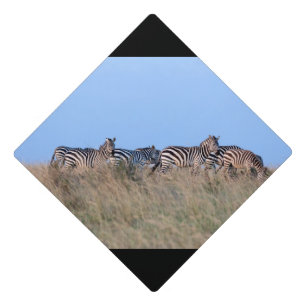 Zebras at dusk graduation cap topper